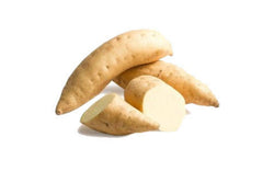 Fresh Sweet White Potato